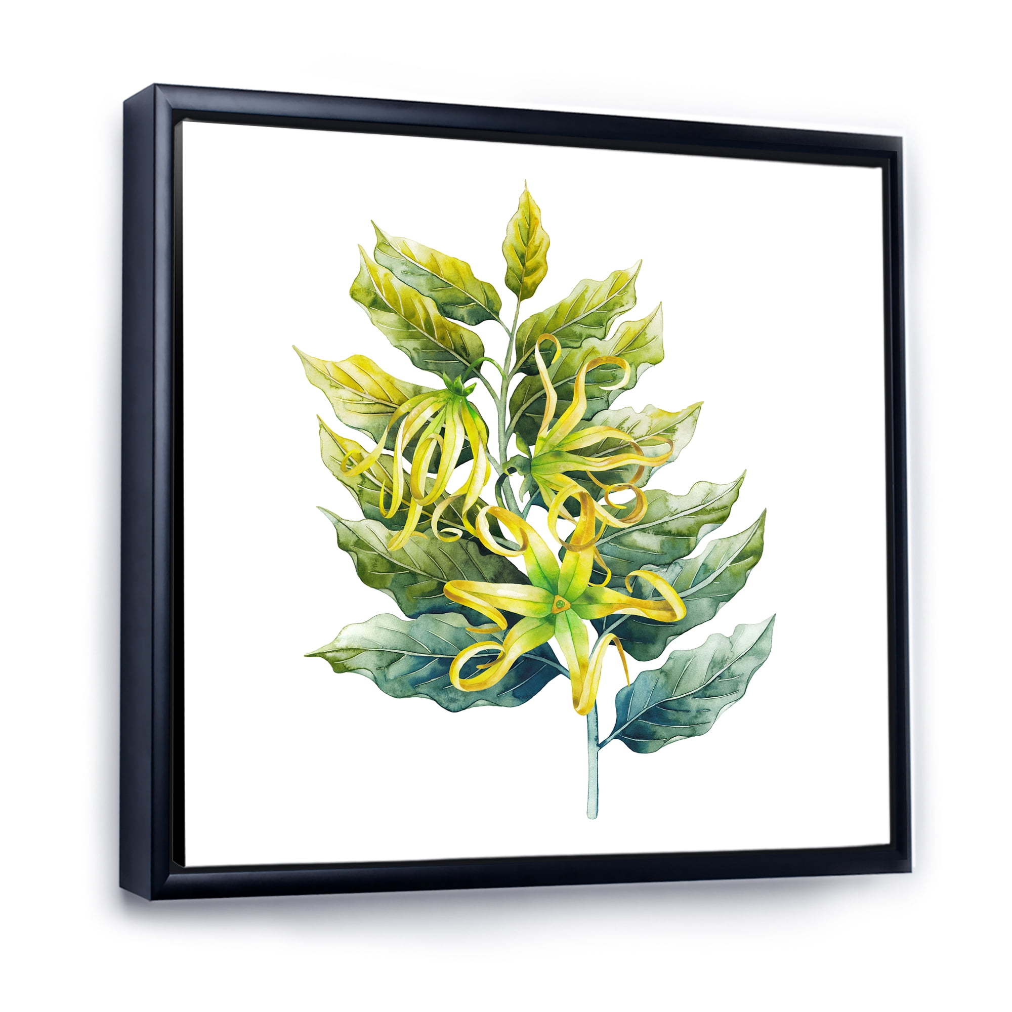 Designart 'Ylang Ylang Flower On White' Traditional Framed Canvas Wall Art Print