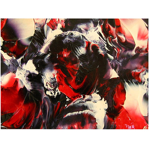 Trademark Fine Art "Black Rose" Canvas Art by Don Cox, 18x24