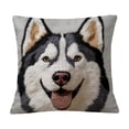thumbnail image 3 of FEOLGEHLY Animal Print Decorative Throw Pillow Covers 18x18 in, All Season Cute Pet Patterns Soft Cushion Covers for Couch Bedroom Living Room Home Decor, Machine Washable Durable (D), 3 of 7