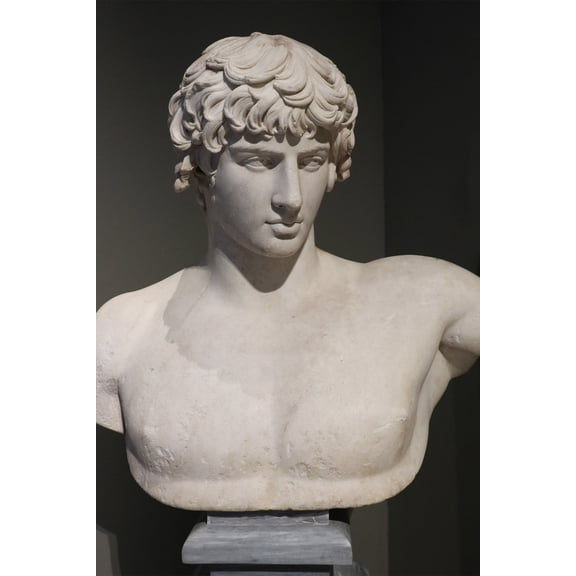 24x36 gallery poster, Bust of Antinous from Patras