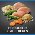 thumbnail image 3 of Pure Balance Pro+ Puppy Chicken and Rice Recipe Dry Dog Food for Puppies, 8 lb, 3 of 10