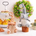 thumbnail image 4 of Handmade Tiered Tray Gnomes Decor,Rustic Boho Farmhouse Gnomes Plush Animal Swedish Gnome Decorations Gift for Woman Wife Mom Friend, 4 of 7
