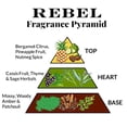 thumbnail image 2 of Perfume Pete & Pedro REBEL Eau De Parfum 50 ml para hombre, 2 of 5