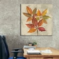 thumbnail image 6 of Epic Graffiti 'November Leaves I' by Silvia Vassileva, Canvas Wall Art, 37"x37", 6 of 8