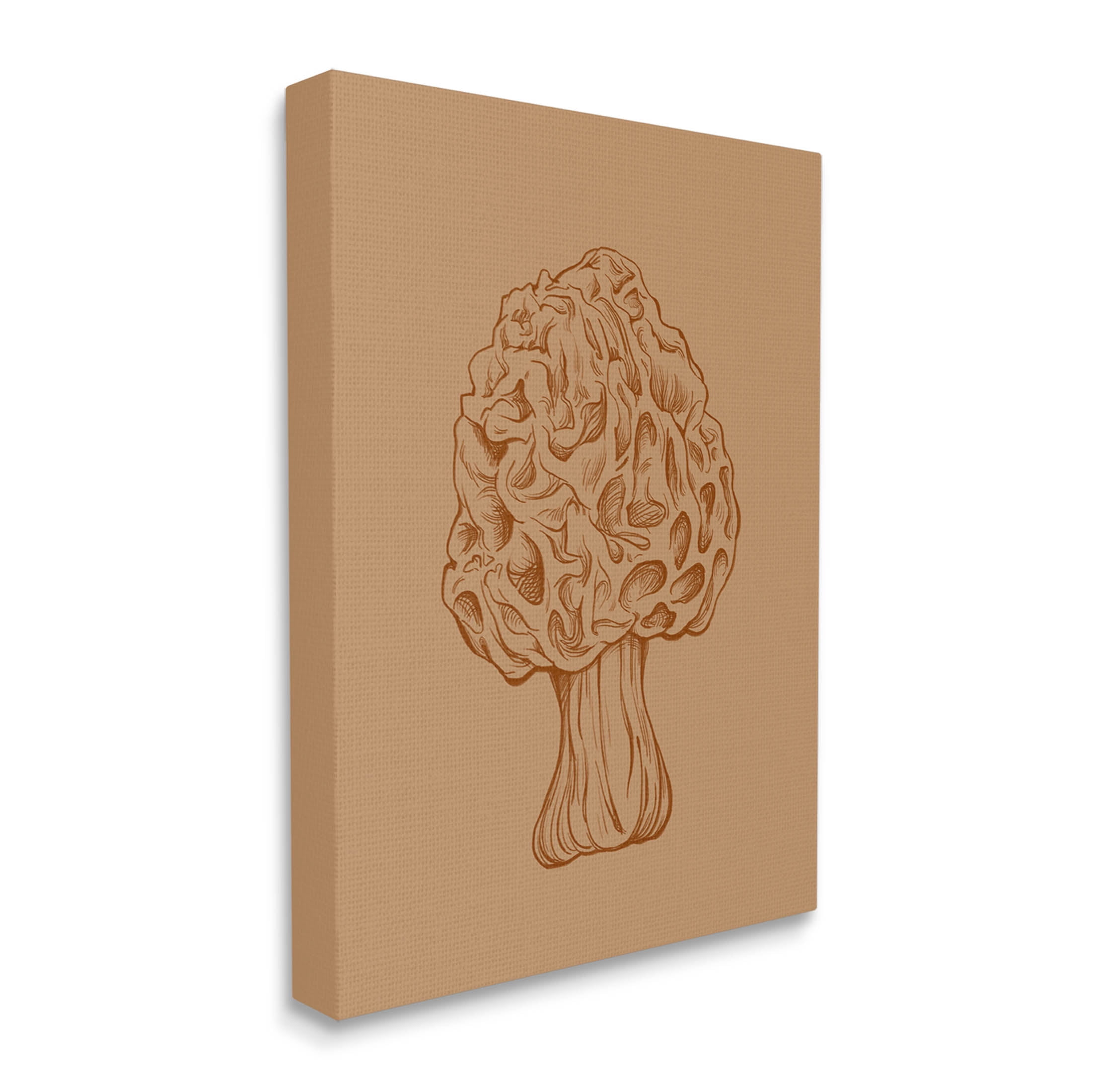 Stupell Industries Organic Mushroom Detailed Study Graphic Art Gallery Wrapped Canvas Print Wall Art, Design by Ziwei Li