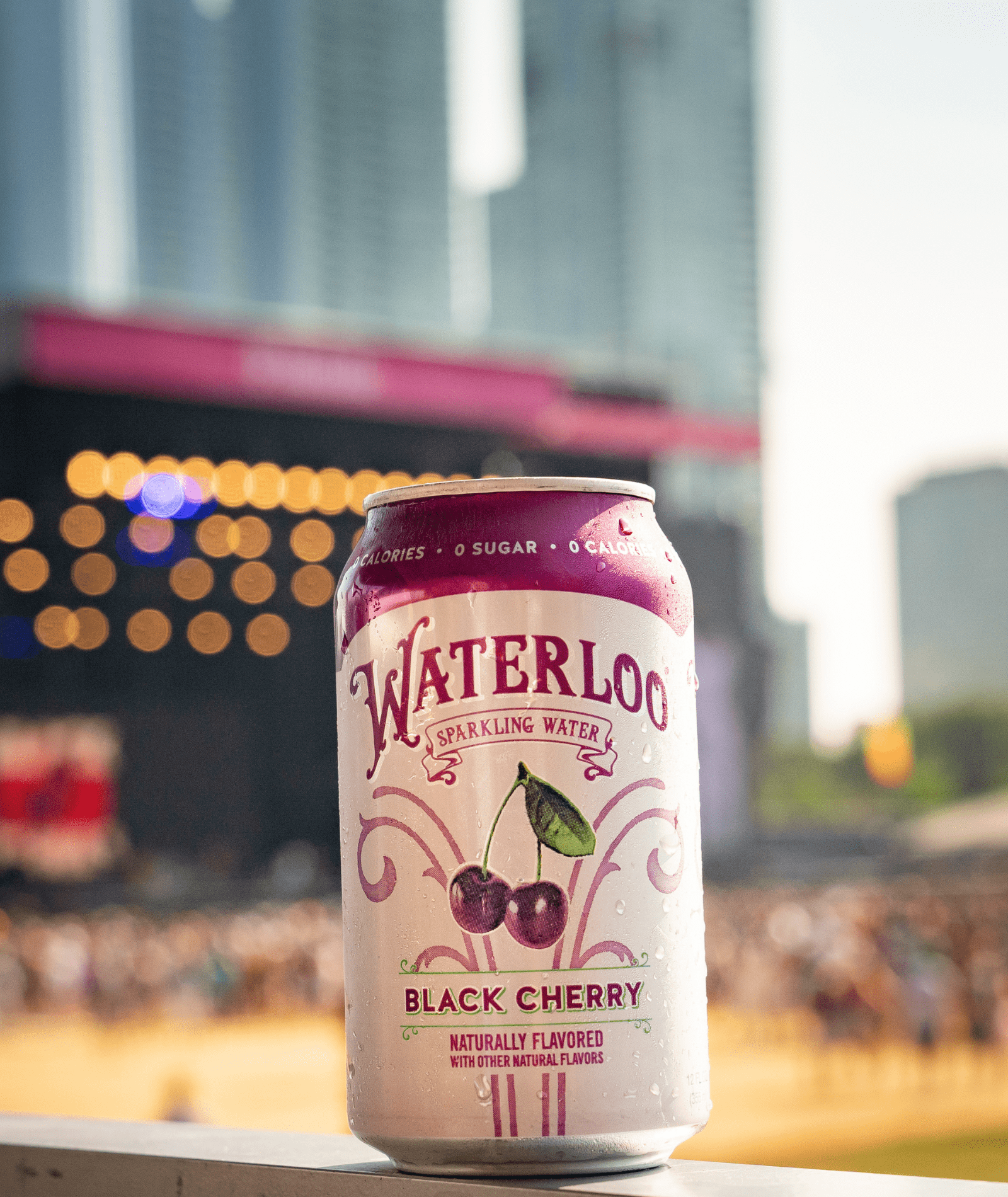 Waterloo Sparkling Water, Black Cherry, 12 fl oz, 2 12 Pack Cans