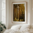 thumbnail image 5 of Redwood Grove - Larkspur California Photography Forest Nature Autumn Wilderness Woodland Scenic Landscape Oak Framed Wall Art Print 6 x 8 inches, 5 of 12