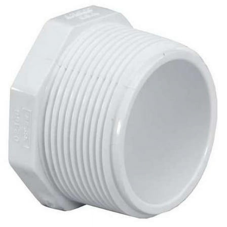 Schedule 40 Hex Head Plug, 2 in., MNPT
