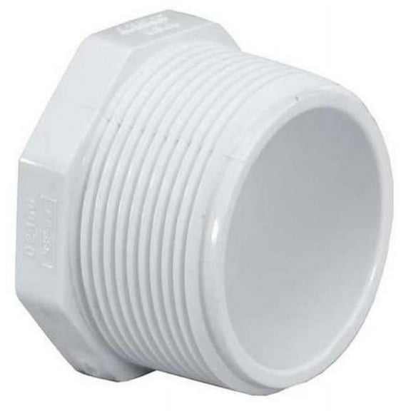 Schedule 40 Hex Head Plug, 2 in., MNPT