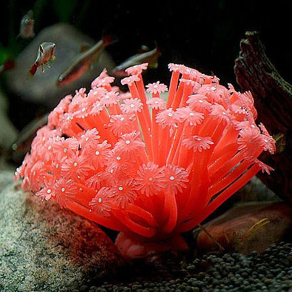 Round Shape Orange Coral Aquarium Ornament