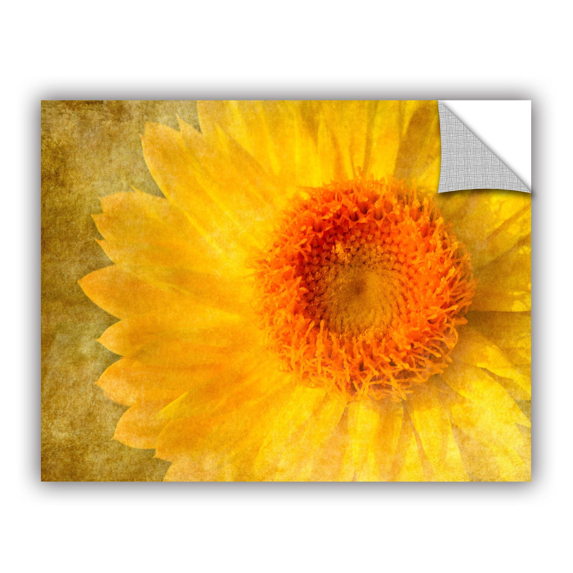 ArtWall Antonio Raggio  ' Flowers In Focus 1 ' Art Appealz Removable Wall Art
