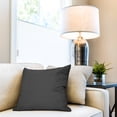 thumbnail image 1 of Dark Gray 20X20 Inches With Microgel Feather-Like Insert Pillow, 1 of 1