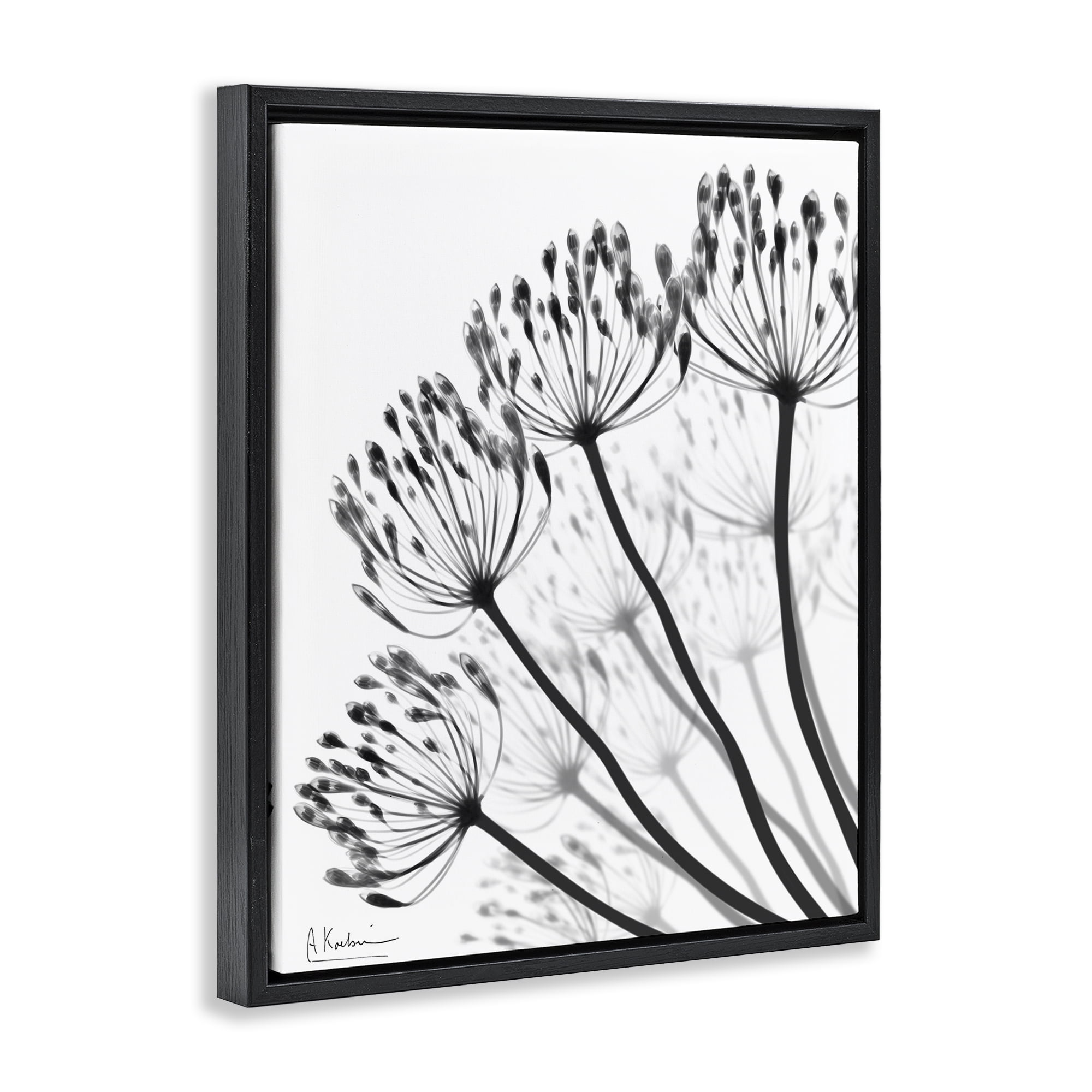 Stupell Industries Floral Fan Dandelions Black Framed Floater Canvas Wall Art, design by Albert Koetsier
