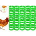 thumbnail image 1 of Paquete de 100 anillos ajustables verdes para patas de pollo para pájaros y aves de corral, ideales para atar e identificar., 1 of 5