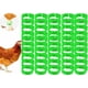 thumbnail image 1 of 100 anillos para patas de pollo con hebilla de etiqueta digital, anillo ajustable para patas de pollo, pájaros, palomas, clavijas para pájaros, tobillos, bandas para patas de codorniz, bandas (verde), 1 of 5