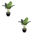 thumbnail image 4 of Toystoory Planta verde de bajo mantenimiento para interiores o exteriores, decoración para decoración del hogar, Canna duradera y maceta para Canna+maceta 2Conjunto, 4 of 6