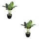 thumbnail image 2 of Cateissary Planta elegante de plástico fácil de limpiar, decoración para el hogar, plantas artificiales, plantas falsas, Canna + maceta Canna+maceta 2Conjunto, 2 of 6
