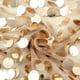 BalsaCircle 13"x108" Payette XL Sequin Table Runner Champagne - Walmart.com