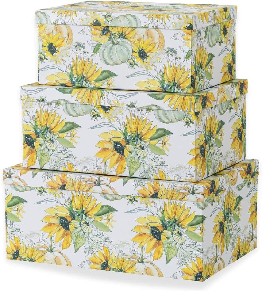 Decorative Storage Cardboard Boxes with Lids Sunny Days Set of 3