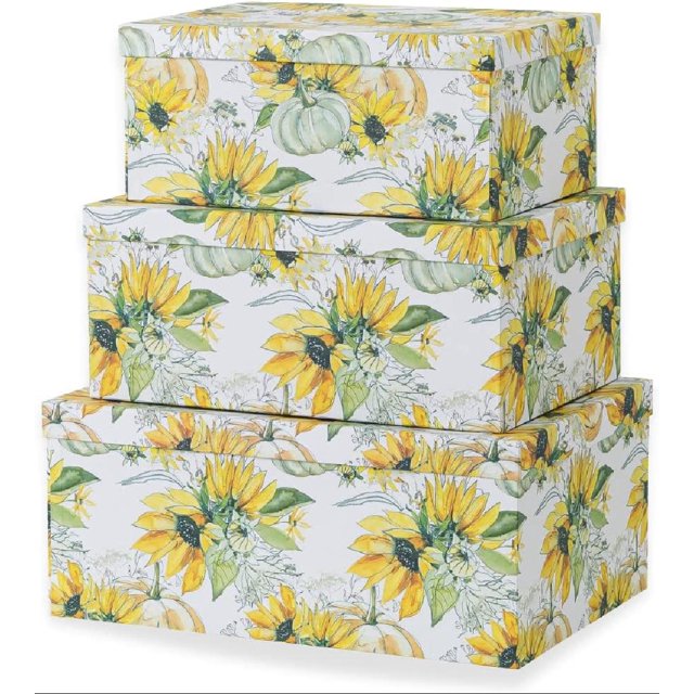 Decorative Storage Cardboard Boxes with Lids Sunny Days Set of 3