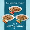 thumbnail image 3 of Purina Bella Morsels in Sauce Wet Dog Food, 3.5 oz Trays (12 Pack), 3 of 8