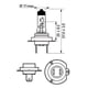 thumbnail image 4 of Bombillas para faros delanteros de coche Philips X-tremeVision Pro150 H7 (gemelas), 4 of 6