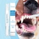 thumbnail image 1 of Cepillo de dientes para mascotas, bolígrafo limpiador de dientes para perros, removedor de dientes para perros o gatos, limpieza de dientes con sustancia vegetal natural, reparador de dientes para mas, 1 of 9