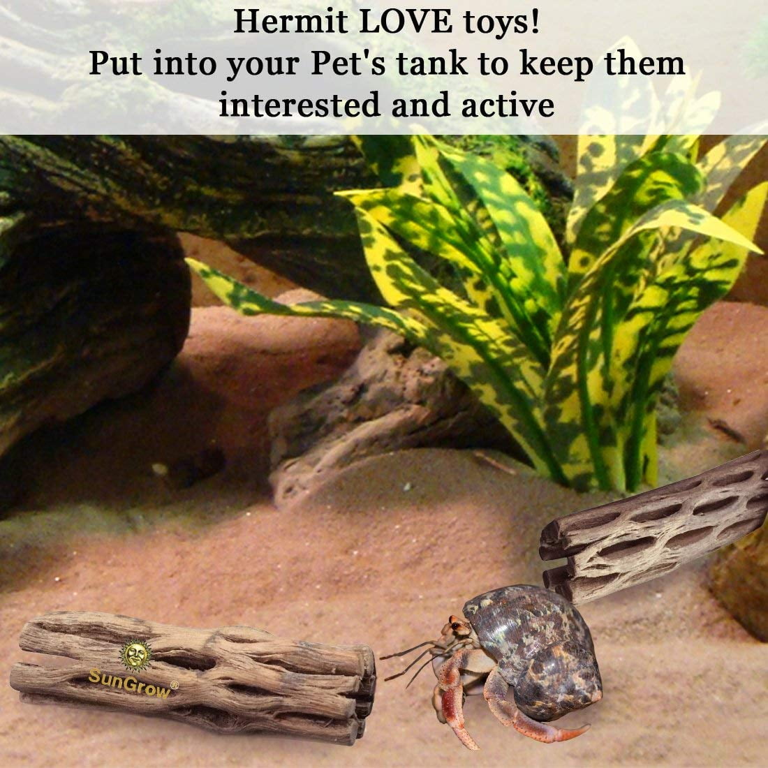 SunGrow Hermit Crab & Leopard Gecko Cholla Wood, for Aquarium Tank Driftwood Decor & Climbing Toy, 6-in, 3 count