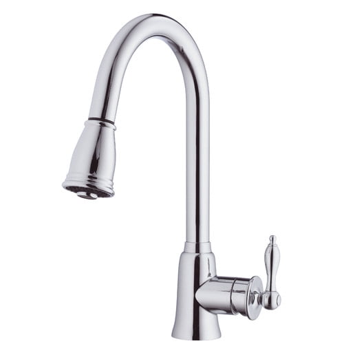 Danze Prince Pull Down Single Handle Kitchen Faucet