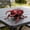 10Pack-QA762, variant on 10 Pack Realistic Interactive Insect Toy Collection For Educational Play Indoor Outdoor Use