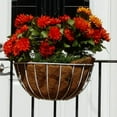 thumbnail image 1 of Austram-Griffith Creek Designs Hyde Park Hanging Planter, 1 of 5