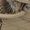 Khaki, variant on NOKIO Men'S Frost-Resistant High-Top Boots Sports Shoes Fashionable New Swimming Shoes Wading Shoes Breathable Light Non Slip Comfortable Shoes Men'S Cozy Snow Boots