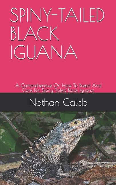 Spiny-Tailed Black Iguana: A Comprehensive On How To Breed And Care For  Spiny-Tailed Black Iguana. (Paperback) 