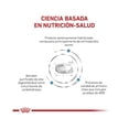 thumbnail image 2 of Alimento para Perro Royal Canin Anallergenic 9 kg Royal Canin Veterinario 9 kg, 2 of 2