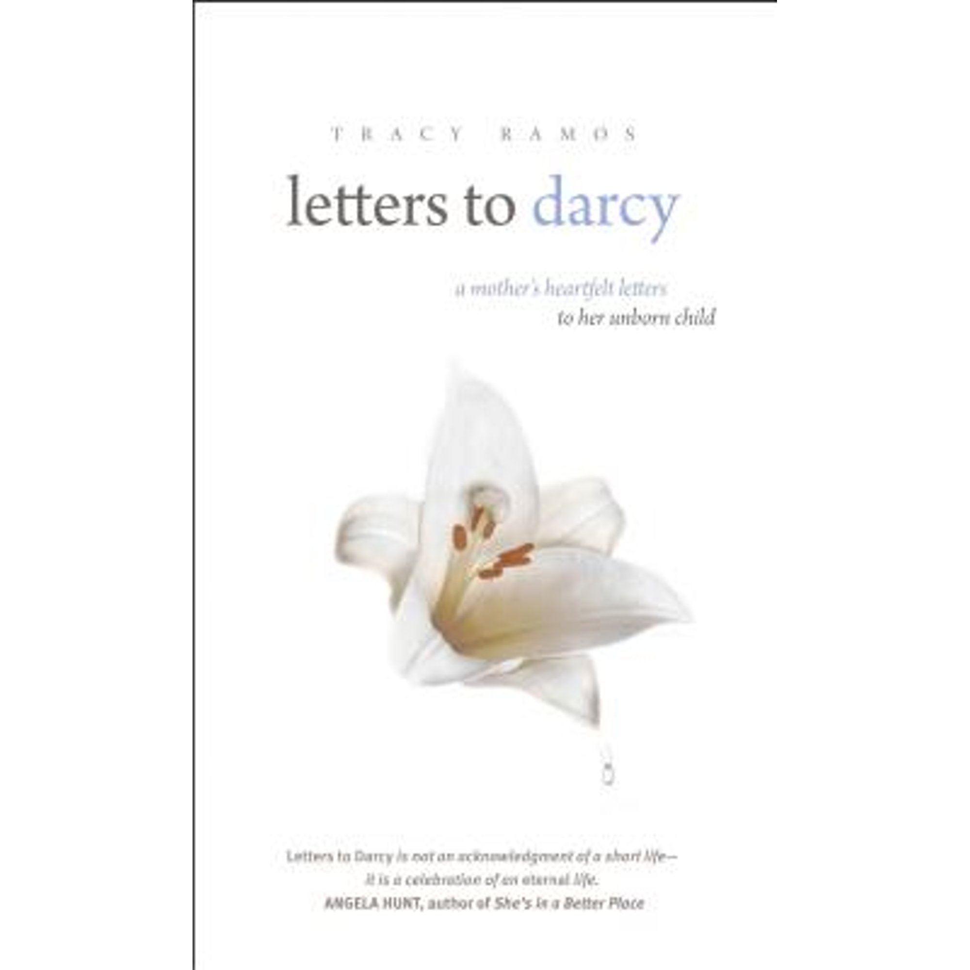 Letters to Darcy : A Mother's Heartfelt Letters to Her Unborn Child (Hardcover)