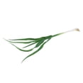 thumbnail image 4 of veasfak Vegetable Food Green Garlic Shallot Decorative Display Example Kids Pretend Play Garlic 40cm, 4 of 9