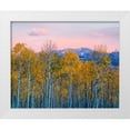 thumbnail image 1 of Fan, John 18x15 White Modern Wood Framed Museum Art Print Titled - Autumn Delight, 1 of 4