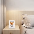 thumbnail image 4 of HONMEET 1Pack Small Display Box Shadow Box for Insect Specimen Holder and Home Decor 16.6X11.6X6.5CM, 4 of 8