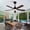 Black + Dark Walnut 3, variant on 42" Solid Wood Ceiling Fan, Outdoor, 3 Blade, No Light, Walnut, for Patio Living Room Bedroom Porch, Remote Control, Water Resistant