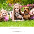 thumbnail image 2 of Herramientas de limpieza de dientes, escalador de dientes de perro y raspador canino Escalador y raspador de dientes de perro de ingeniería de precisión Jadeshay A, 2 of 8