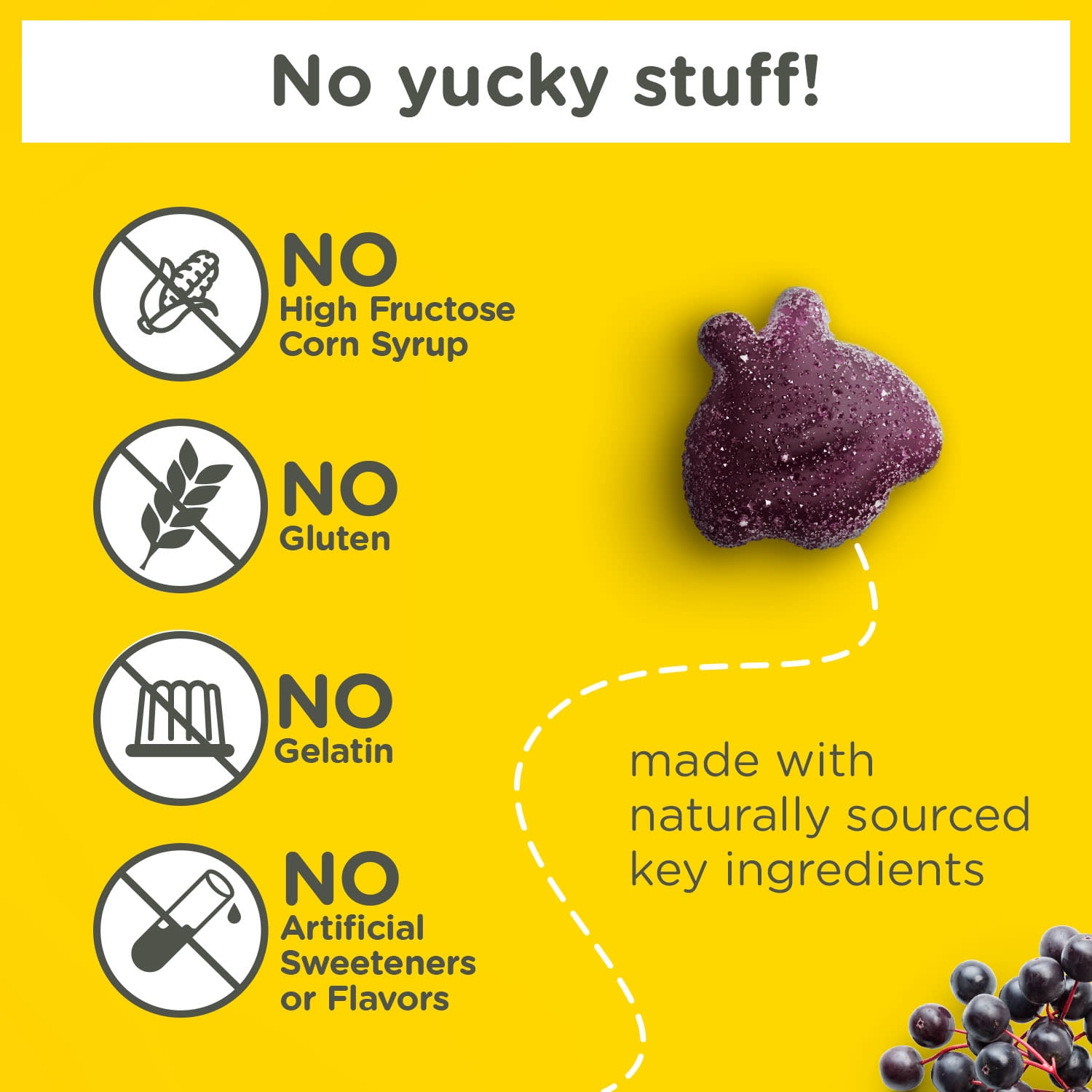 Zarbee's Children's Daily Immune Support* Gummies + Elderberry, 42 Count