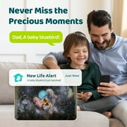 Birdfy Smart Bird Houses With 1080P HD Bird Feeder Camera, Perfect Viewing Bird Nesting and Hatching, Solar Powered, Cyan