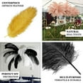 thumbnail image 4 of Efavormart 12 RARE 24"-26" Ostrich Plume Feathers For Wedding Birthday Party Dance Banquet Event Decoration - Black, 4 of 10