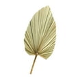 thumbnail image 4 of unbranded  Green Dried Palm Leaves Pu Fan Artificial Plant Natural Effect Leaf Decoration, 4 of 8