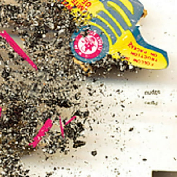 Nudge - Cached - Alternative - CD