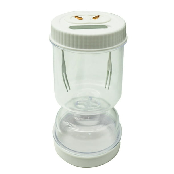 Reloj Arena Kimchi Organizador Fermentación Lata Tanque Separación Húmeda Seca Ehuebsd