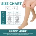 thumbnail image 7 of MARTINE MALL 2 Pair Beige Knee High Graduated Compression Stockings 20-30 mmhg Close Toe Compression Socks for Women and Men, 7 of 7
