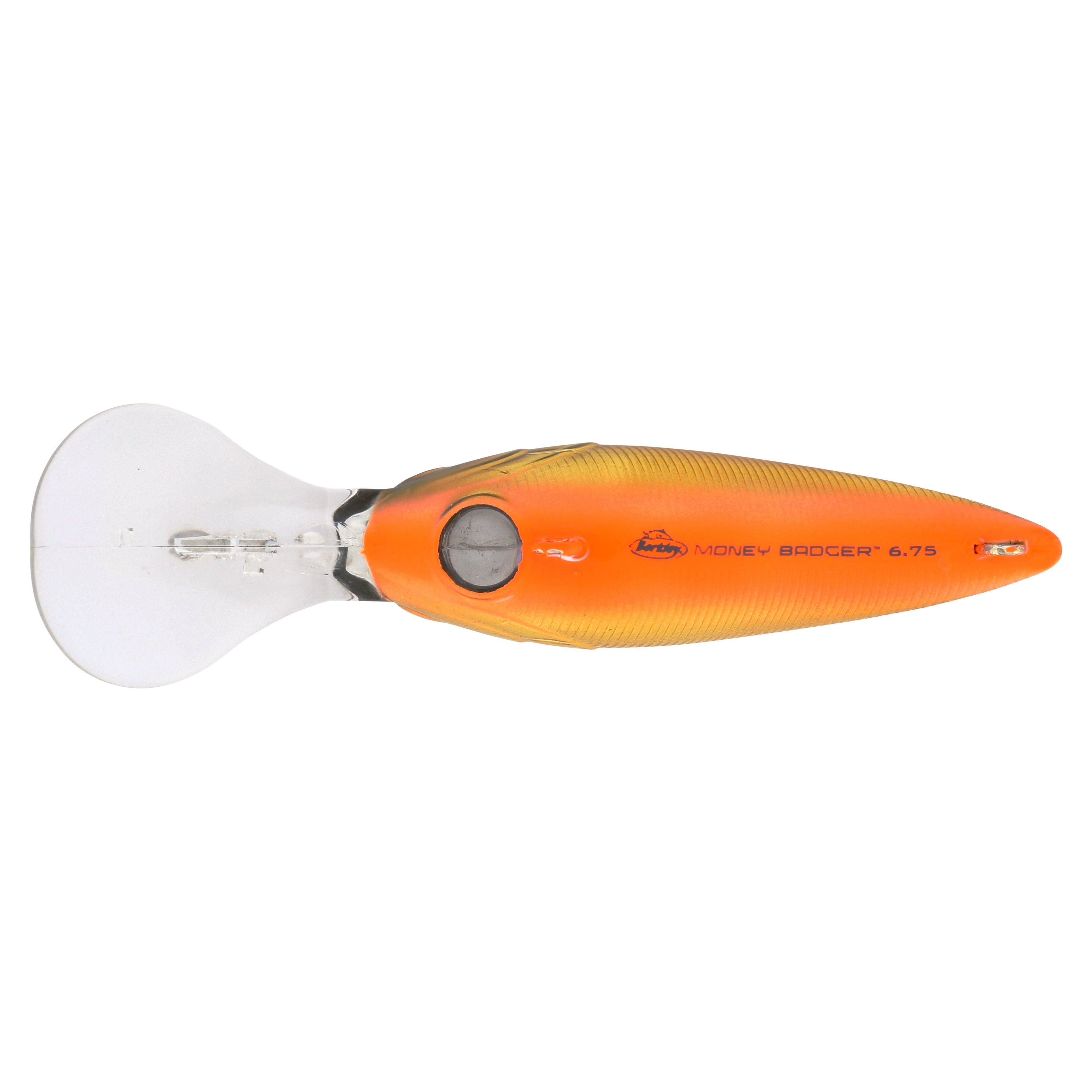 Berkley Money Badger, 6.75, Black Gold