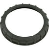 Lock Ring, Jacuzzi Cygnet, LR, Trap Lid