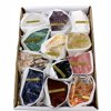 12 Minerals Educational Set